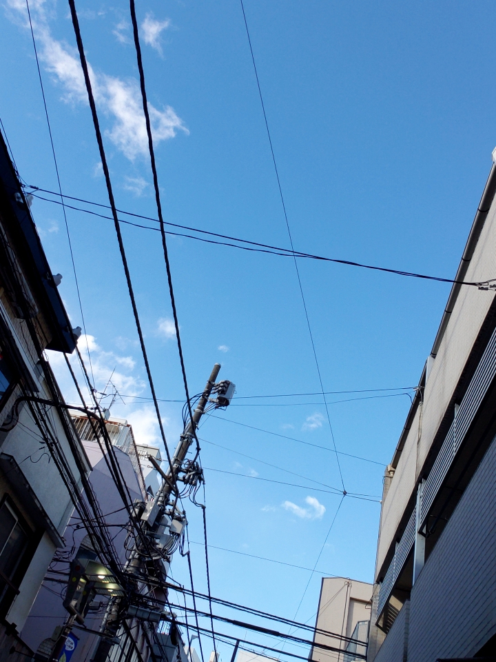 無題の投稿84