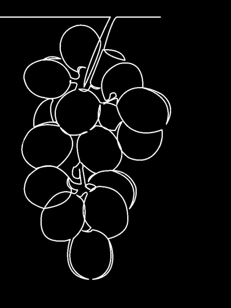 無題の投稿1252
